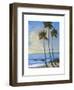 Tropical Breeze II-Tim O'toole-Framed Art Print