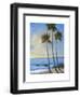 Tropical Breeze II-Tim O'toole-Framed Art Print