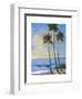 Tropical Breeze II-Tim O'toole-Framed Art Print