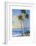 Tropical Breeze II-Tim O'toole-Framed Art Print