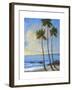 Tropical Breeze II-Tim O'toole-Framed Art Print