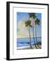 Tropical Breeze II-Tim O'toole-Framed Art Print