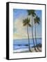 Tropical Breeze II-Tim O'toole-Framed Stretched Canvas