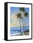 Tropical Breeze II-Tim O'toole-Framed Stretched Canvas