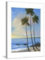 Tropical Breeze II-Tim O'toole-Stretched Canvas