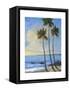 Tropical Breeze II-Tim O'toole-Framed Stretched Canvas