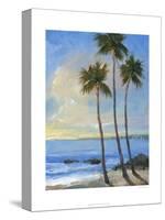 Tropical Breeze II-Tim O'toole-Stretched Canvas