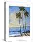 Tropical Breeze II-Tim O'toole-Stretched Canvas