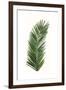 Tropical Breeze Leaves V-Naomi McCavitt-Framed Art Print