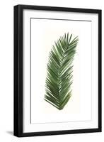 Tropical Breeze Leaves V-Naomi McCavitt-Framed Art Print