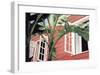 Tropical Breeze-Canning John-Framed Giclee Print