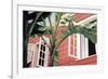 Tropical Breeze-Canning John-Framed Giclee Print