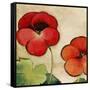 Tropical Brights-Andrew Michaels-Framed Stretched Canvas