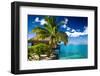 Tropical Bungalow and Palm Tree next to Amazing Blue Lagoon-Martin Valigursky-Framed Photographic Print