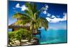 Tropical Bungalow and Palm Tree next to Amazing Blue Lagoon-Martin Valigursky-Mounted Photographic Print