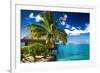 Tropical Bungalow and Palm Tree next to Amazing Blue Lagoon-Martin Valigursky-Framed Photographic Print