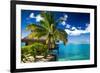 Tropical Bungalow and Palm Tree next to Amazing Blue Lagoon-Martin Valigursky-Framed Photographic Print