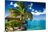 Tropical Bungalow and Palm Tree next to Amazing Blue Lagoon-Martin Valigursky-Mounted Photographic Print