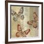 Tropical Butterflies II-Tandi Venter-Framed Giclee Print