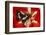 Tropical Butterfly, Moduza Mata Amida-Darrell Gulin-Framed Photographic Print