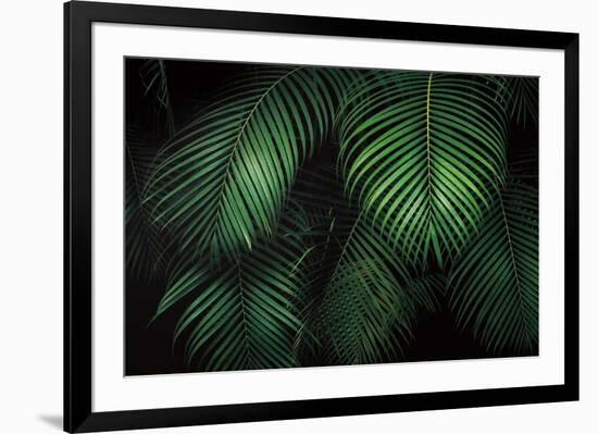 Tropical Canopies-Dennis Frates-Framed Giclee Print