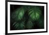 Tropical Canopies-Dennis Frates-Framed Giclee Print