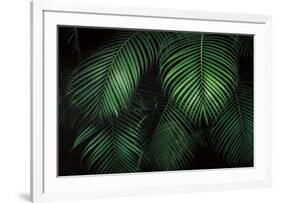 Tropical Canopies-Dennis Frates-Framed Giclee Print