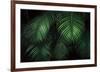 Tropical Canopies-Dennis Frates-Framed Giclee Print