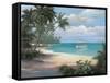 Tropical Cast Away-unknown Chiu-Framed Stretched Canvas