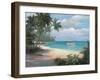 Tropical Cast Away-unknown Chiu-Framed Art Print