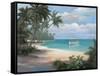 Tropical Cast Away-unknown Chiu-Framed Stretched Canvas