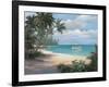 Tropical Cast Away-unknown Chiu-Framed Art Print