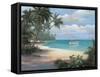 Tropical Cast Away-unknown Chiu-Framed Stretched Canvas