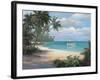 Tropical Cast Away-unknown Chiu-Framed Art Print