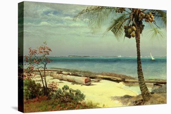 Tropical Coast-Albert Bierstadt-Stretched Canvas