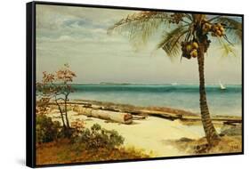 Tropical Coast-Albert Bierstadt-Framed Stretched Canvas