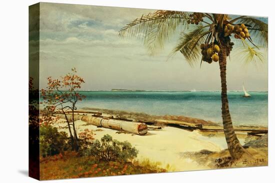 Tropical Coast-Albert Bierstadt-Stretched Canvas