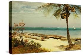 Tropical Coast-Albert Bierstadt-Stretched Canvas