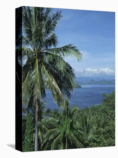 Tropical Coastal Scenery, Bougainville Island, Papua New Guinea, Pacific-Mrs Holdsworth-Stretched Canvas