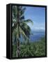 Tropical Coastal Scenery, Bougainville Island, Papua New Guinea, Pacific-Mrs Holdsworth-Framed Stretched Canvas