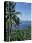 Tropical Coastal Scenery, Bougainville Island, Papua New Guinea, Pacific-Mrs Holdsworth-Stretched Canvas