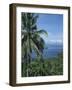 Tropical Coastal Scenery, Bougainville Island, Papua New Guinea, Pacific-Mrs Holdsworth-Framed Photographic Print