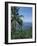 Tropical Coastal Scenery, Bougainville Island, Papua New Guinea, Pacific-Mrs Holdsworth-Framed Photographic Print