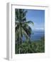 Tropical Coastal Scenery, Bougainville Island, Papua New Guinea, Pacific-Mrs Holdsworth-Framed Photographic Print