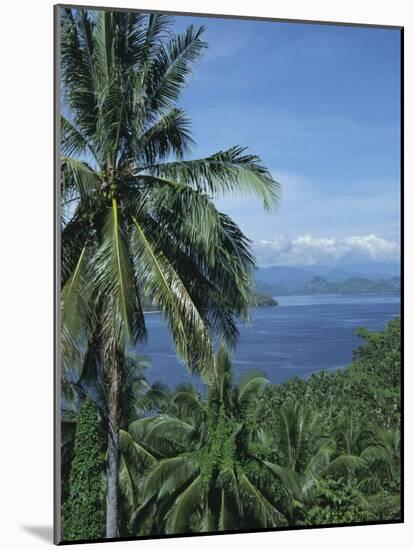 Tropical Coastal Scenery, Bougainville Island, Papua New Guinea, Pacific-Mrs Holdsworth-Mounted Photographic Print