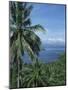 Tropical Coastal Scenery, Bougainville Island, Papua New Guinea, Pacific-Mrs Holdsworth-Mounted Photographic Print