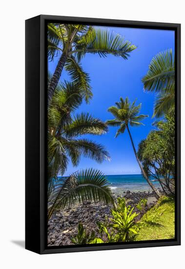 Tropical Coastline of Princeville, Hi-Andrew Shoemaker-Framed Stretched Canvas