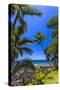 Tropical Coastline of Princeville, Hi-Andrew Shoemaker-Stretched Canvas