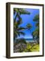 Tropical Coastline of Princeville, Hi-Andrew Shoemaker-Framed Photographic Print