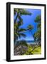 Tropical Coastline of Princeville, Hi-Andrew Shoemaker-Framed Photographic Print